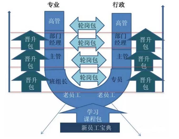 1,为员工不同层级的职业发展提供能力标准   传统上